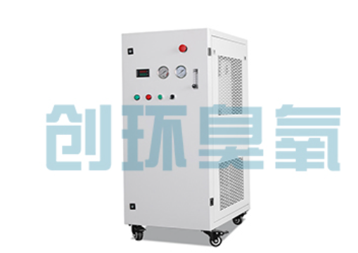 岳阳石斑鱼养殖水质调控完整指南:臭氧发生器配置与操作步骤