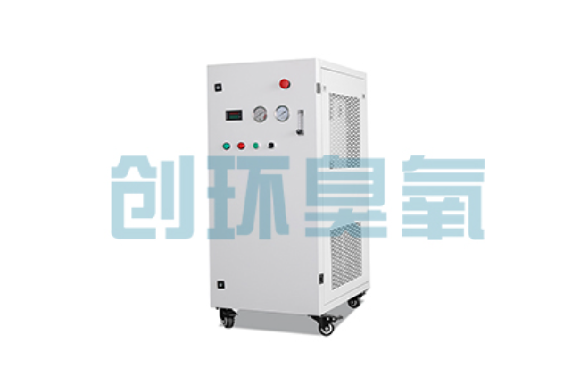 岳阳比传统换水更高效?臭氧发生器在石斑鱼养殖中的水质净化原理解析