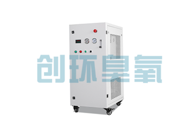 岳阳比传统换水更高效？臭氧发生器在石斑鱼养殖中的水质净化原理解析